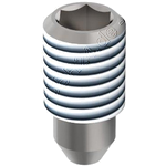 Rundstrahld&uuml;se F21, Saphir 2.500 bar, 0,45 mm.