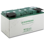 Antriebsbatterie wartungsfrei 80Ah