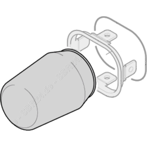 MEMBRANE